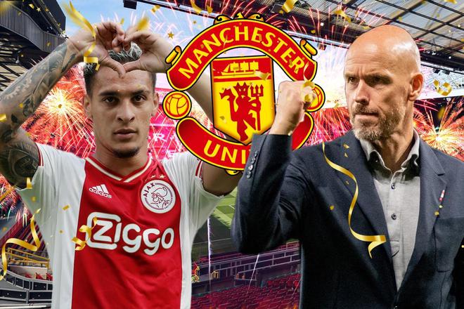 宜地进行草 宜地进行草